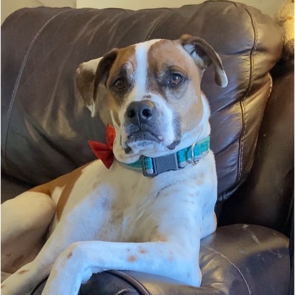 Future Mrs.Couture - Picture 11 of 16